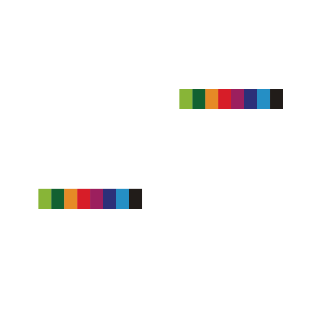 NovaPaints White Logo